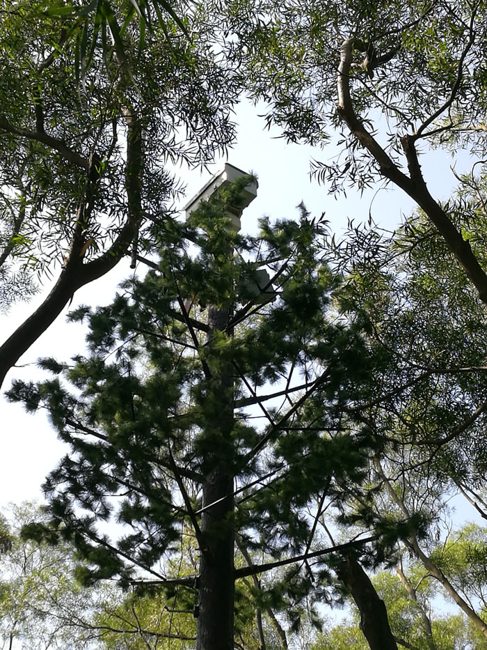 ?森林火災(zāi)風(fēng)險普查工作任重而道遠(yuǎn)，華瑞通發(fā)揮行業(yè)優(yōu)勢